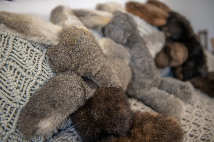 Possum Bush Bunny