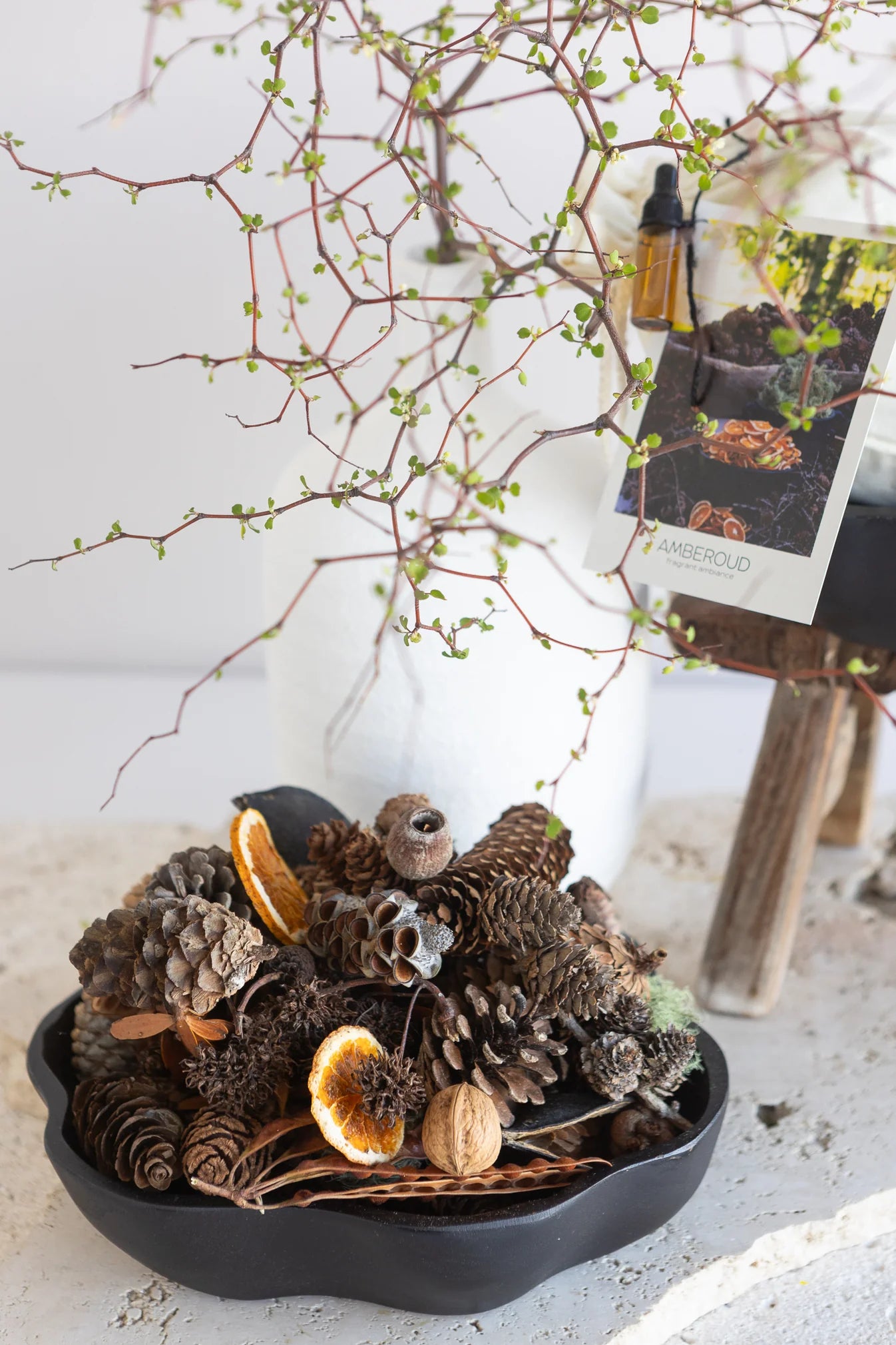 Forest Floor Amberoud Sleeve