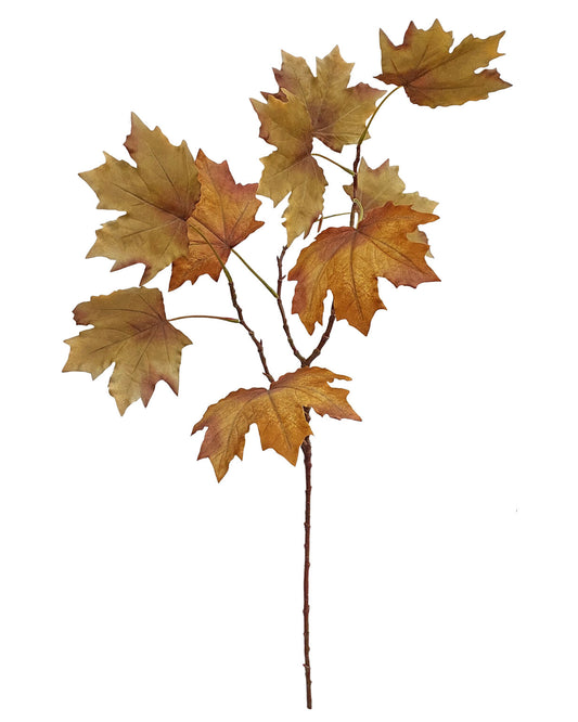 Late Autumn Maple