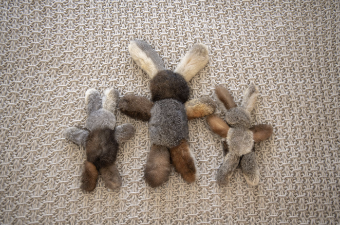 Possum Bush Bunny | Mini