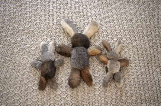 Possum Bush Bunny | Mini