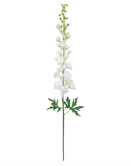 Full Bloom Delphinium | White