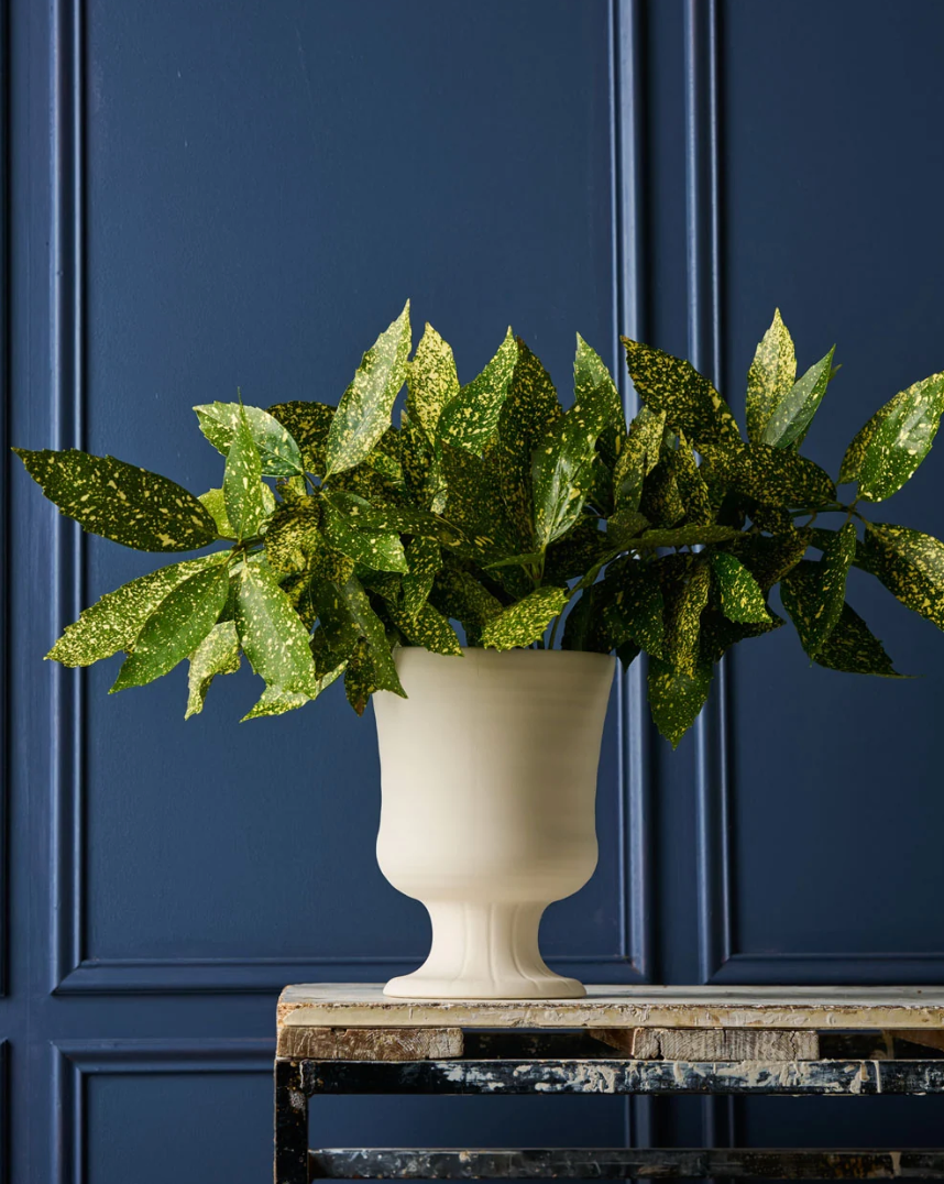Trophy Life Vintage Devon Vase